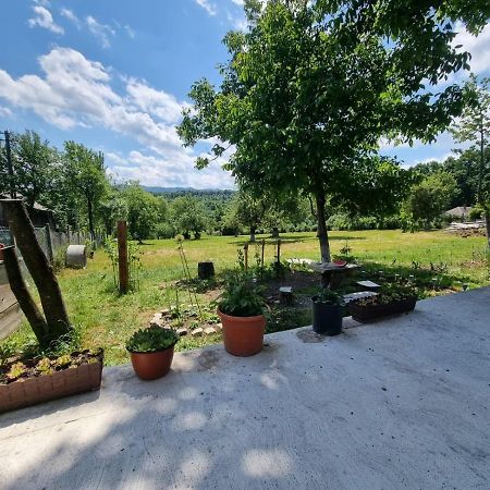Rasca  Casa Primitoare In Inima Naturii Si Padurii מראה חיצוני תמונה