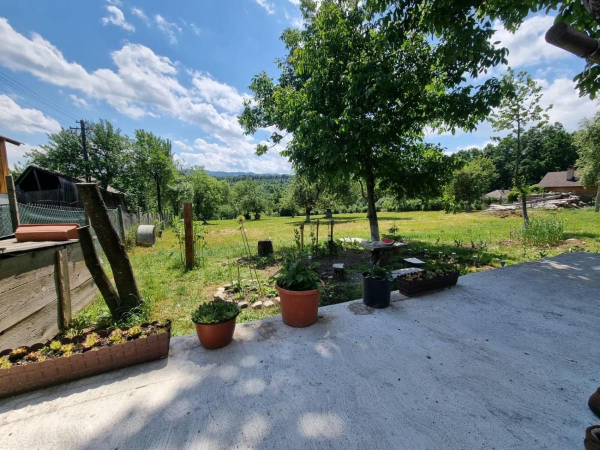 Rasca  Casa Primitoare In Inima Naturii Si Padurii מראה חיצוני תמונה